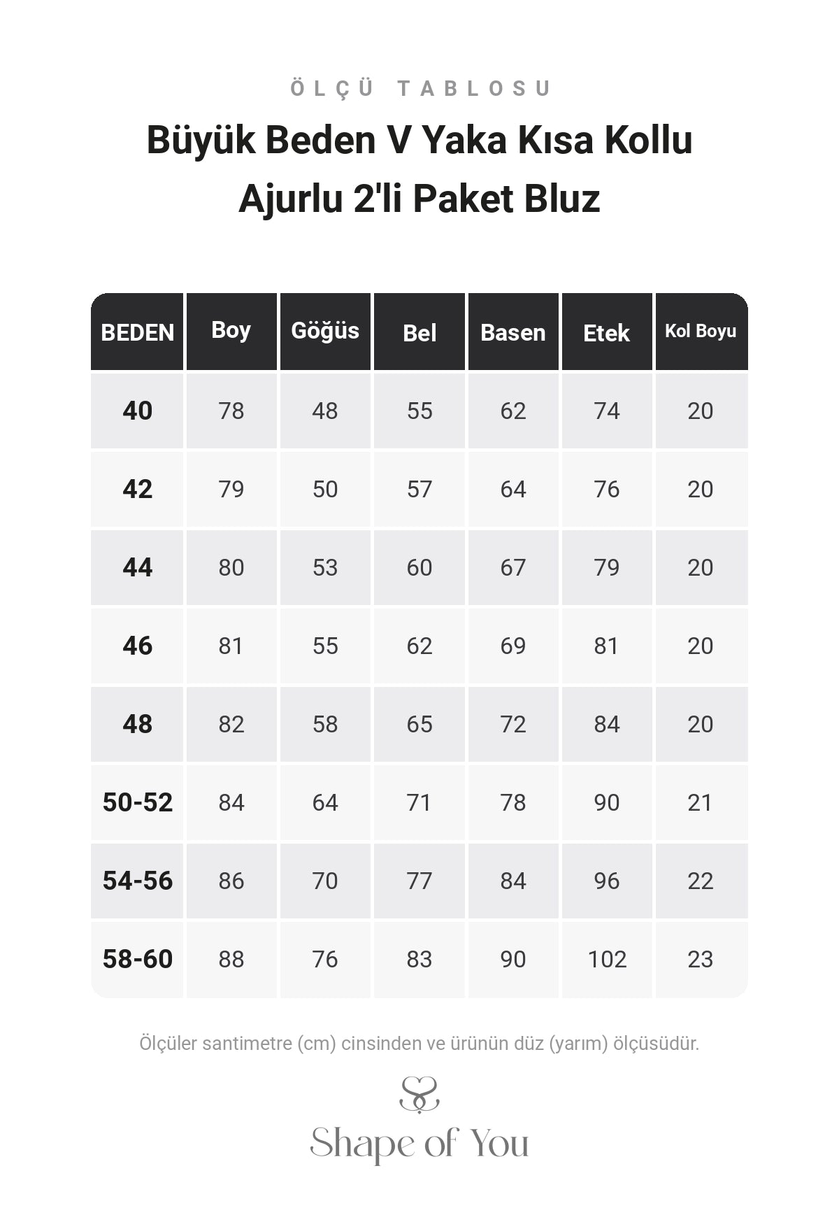 Büyük Beden V Yaka Kısa Kollu Ajurlu 2'li Paket Bluz